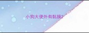 小狗大便外有黏膜