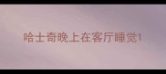 哈士奇晚上在客厅睡觉