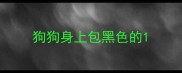 狗狗身上包黑色的
