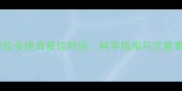 拉布拉多绝育最佳时间科学指南与注意事项