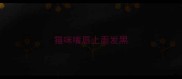 猫咪嘴唇上面发黑