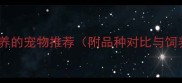 适合家庭养的宠物推荐附品种对比与饲养指南