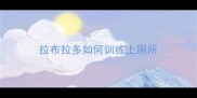 拉布拉多如何训练上厕所