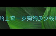 哈士奇一岁狗狗多少钱