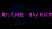狗狗转圈不止是行为问题这5大原因你一定要知道