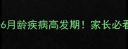 泰迪幼犬3-6月龄疾病高发期家长必看养护指南