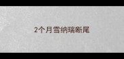 2个月雪纳瑞断尾