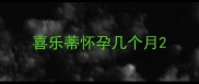 喜乐蒂怀孕几个月