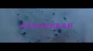 拉布拉多吃到西瓜籽