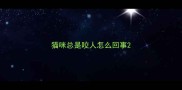 猫咪总是咬人怎么回事