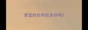 便宜的拉布拉多好吗