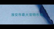淮安市最大宠物市场