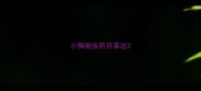 小狗驱虫药芬苯达