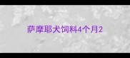 萨摩耶犬饲料4个月