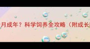 巴哥狗多少月成年科学饲养全攻略附成长阶段特征