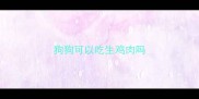 狗狗可以吃生鸡肉吗