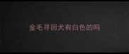 金毛寻回犬有白色的吗