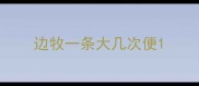 边牧一条大几次便