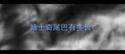 哈士奇尾巴有多长