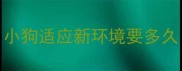小狗适应新环境要多久