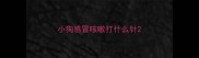 小狗感冒咳嗽打什么针
