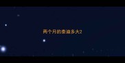两个月的泰迪多大