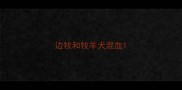 边牧和牧羊犬混血