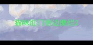 猫咪肛门旁边糜烂