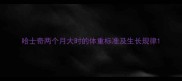 哈士奇两个月大时的体重标准及生长规律