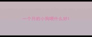 一个月的小狗喂什么好