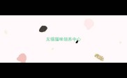 无锡猫咪领养中心