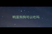 鸭蛋狗狗可以吃吗