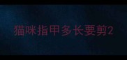 猫咪指甲多长要剪