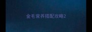 金毛营养搭配攻略