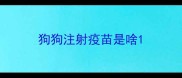 狗狗注射疫苗是啥