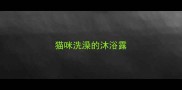 猫咪洗澡的沐浴露
