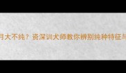 罗威纳4个月大不纯资深训犬师教你辨别纯种特征与饲养技巧