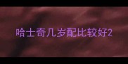 哈士奇几岁配比较好