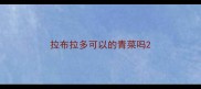 拉布拉多可以的青菜吗