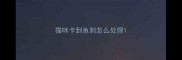 猫咪卡到鱼刺怎么处理
