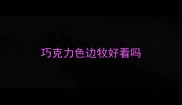 巧克力色边牧好看吗