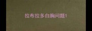 拉布拉多白胸问题