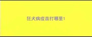 狂犬病疫苗打哪里
