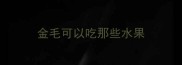 金毛可以吃那些水果