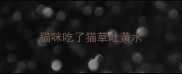 猫咪吃了猫草吐黄水