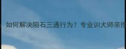 边牧训练难题如何解决陨石三通行为专业训犬师亲授3大黄金法则