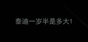 泰迪一岁半是多大