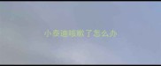 小泰迪咳嗽了怎么办
