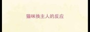 猫咪换主人的反应
