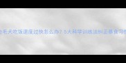 金毛犬吃饭速度过快怎么办5大科学训练法纠正暴食习惯